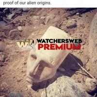 Ancient Skull Found - p - Monique, QLD - Australia