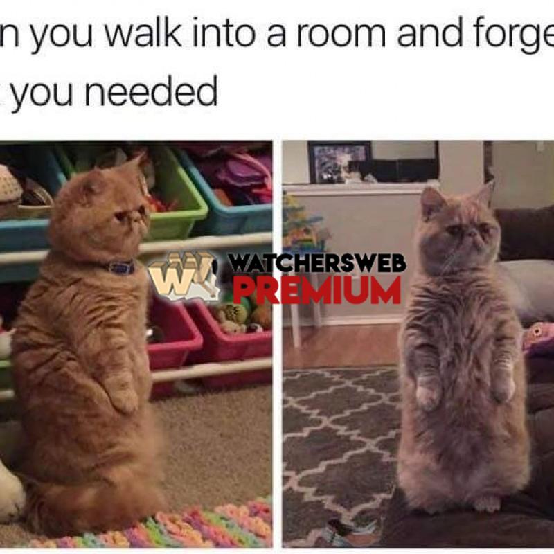 Hmmm - p - Monique, QLD - Australia