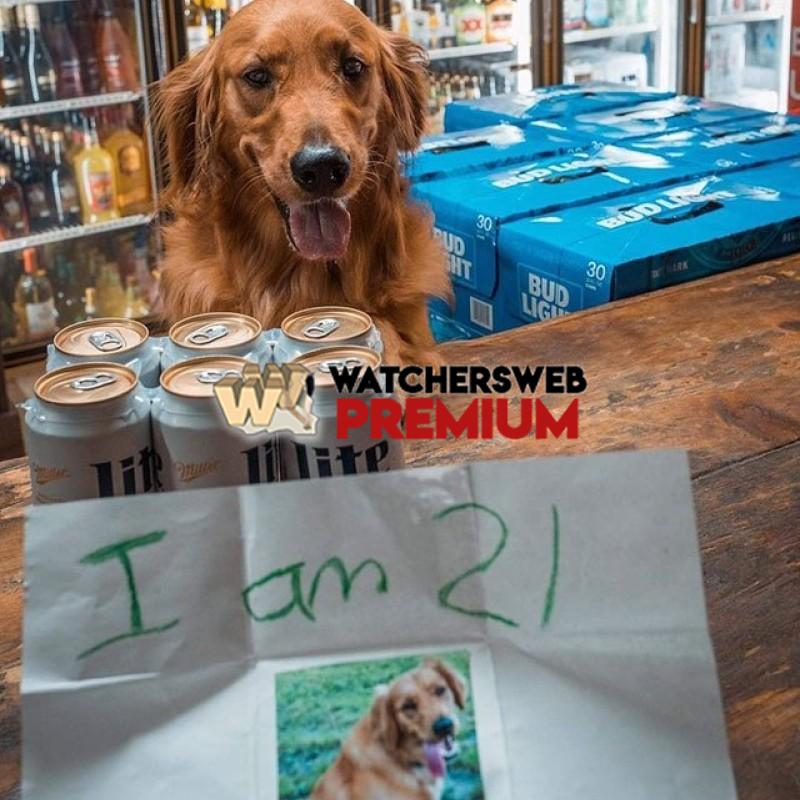 I.D Please Sir - p - Monique, QLD - Australia