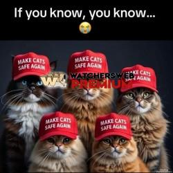 Too Early? - Ray - QLD, Australia