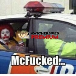 Busted Ronald - Ray - QLD, Australia