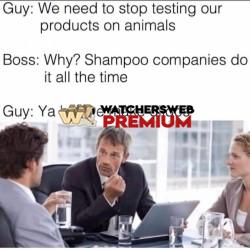 Bad R & D - Ray - QLD, Australia