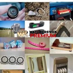 Take Your Time - Ray - QLD, Australia