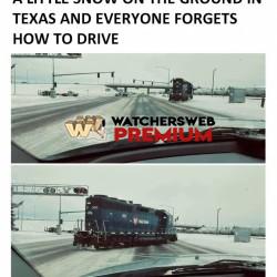 Only In Texas - Ray - QLD, Australia