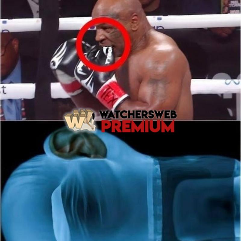 I Ear You - Ray - QLD, Australia