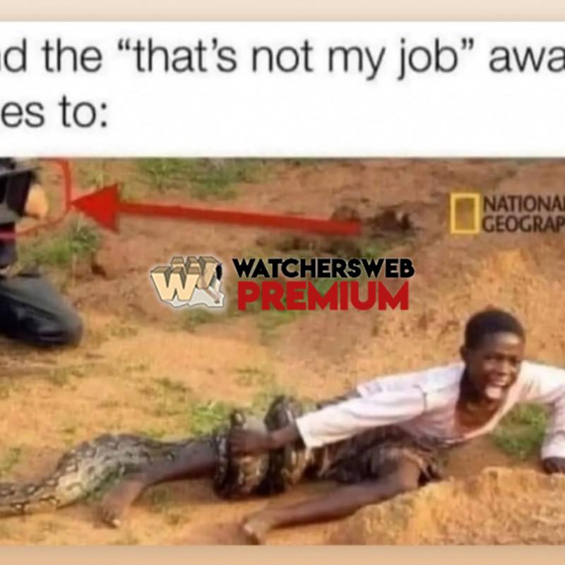 Award Goes To - Ray - QLD, Australia