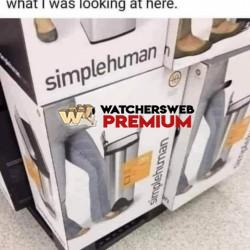 Took A While - Ray - QLD, Australia