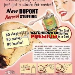 Yuk - Ray - QLD, Australia