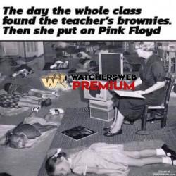 I Love Vegies - Ray - QLD, Australia