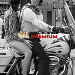 The King 1972 - Ray - QLD, Australia