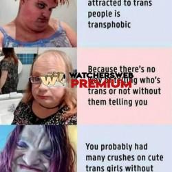 It's A Mad World - Ray - QLD, Australia