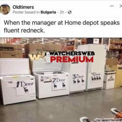 Fluent Redneck - Ray - QLD, Australia