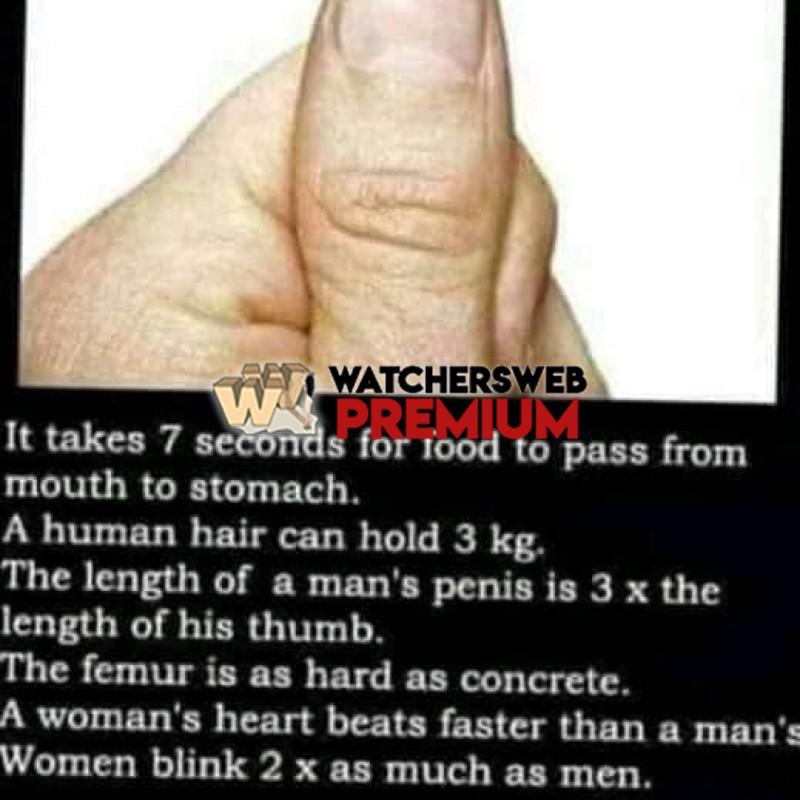 I Bet You Do - Ray - QLD, Australia