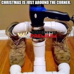 Genius - Ray - QLD, Australia