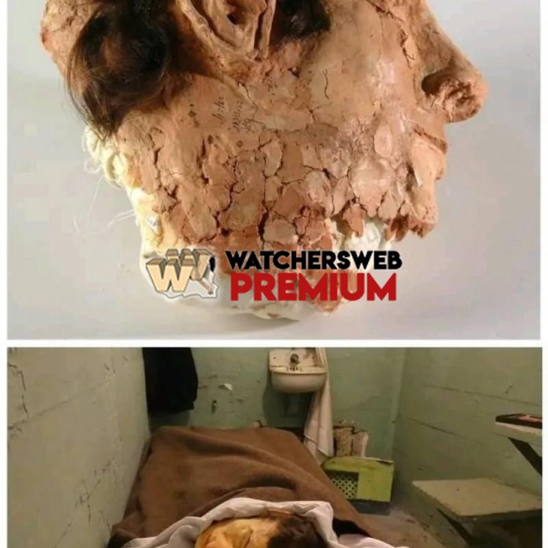 Fake It - Ray - QLD, Australia