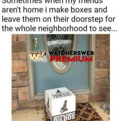 Do It - Ray - QLD, Australia