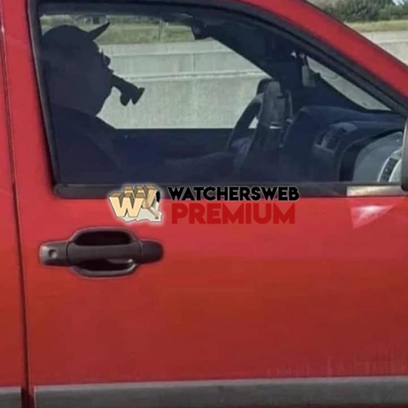 He's A Keeper - Ray - QLD, Australia