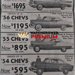 I'll Take Two - Ray - QLD, Australia