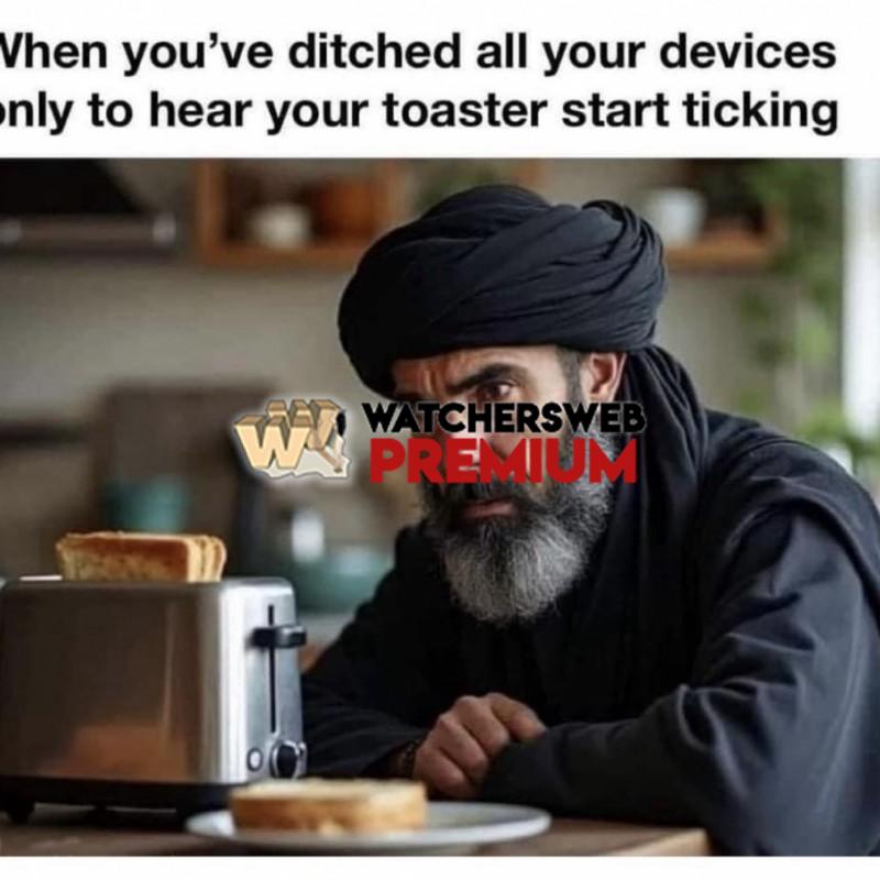 Life's A Bitch - Ray - Australia