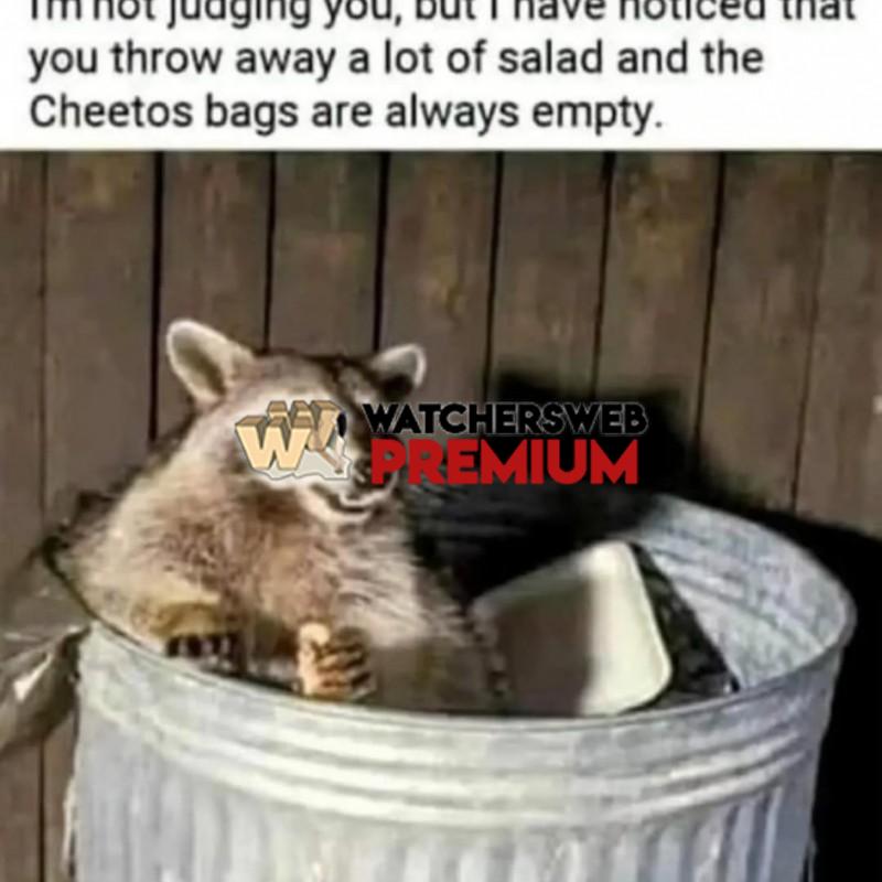 Yumm - Ray - QLD, Australia