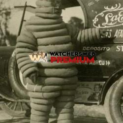 Defiantly Not AI - Ray - QLD, Australia