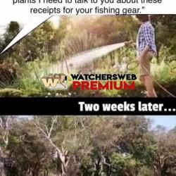 I Get It - Ray - QLD, Australia