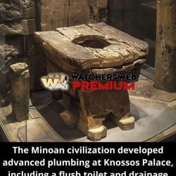 Interesting - Ray - QLD, Australia