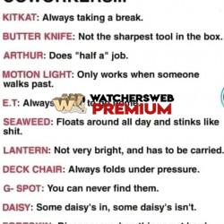 I Love This - Ray - QLD, Australia