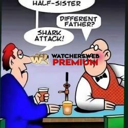 Shark Attack - Ray - Australia