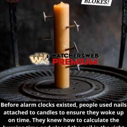 Clever - Ray - QLD, Australia