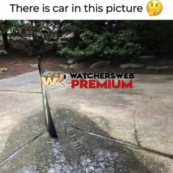 Took A While - Ray - QLD, Australia