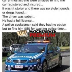 Time Waster - Ray - QLD, Australia