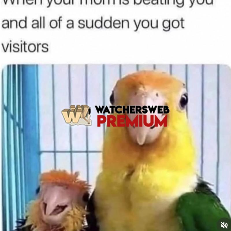 This Is Real - Ray - QLD, Australia