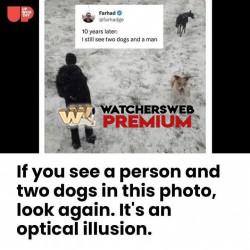 Easy - Ray - QLD, Australia