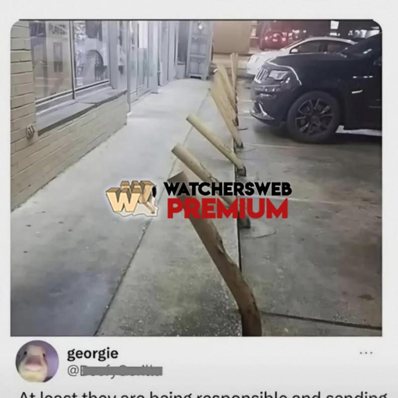 Bloody Women - Ray - QLD, Australia