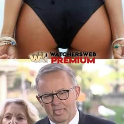 Let Me First - Ray - QLD, Australia