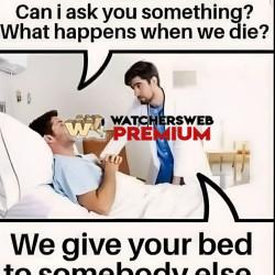 Harsh Truth - Ray - QLD, Australia