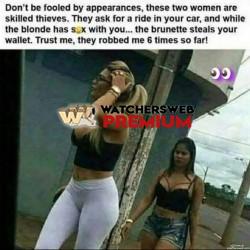 Theives - Ray - QLD, Australia