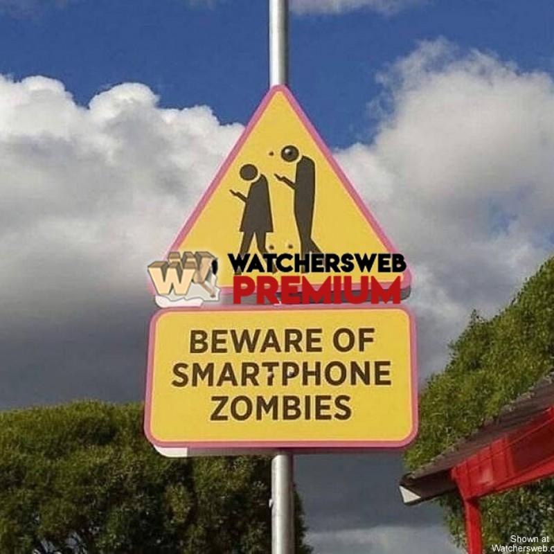 A Common Thing - Ray - QLD, Australia