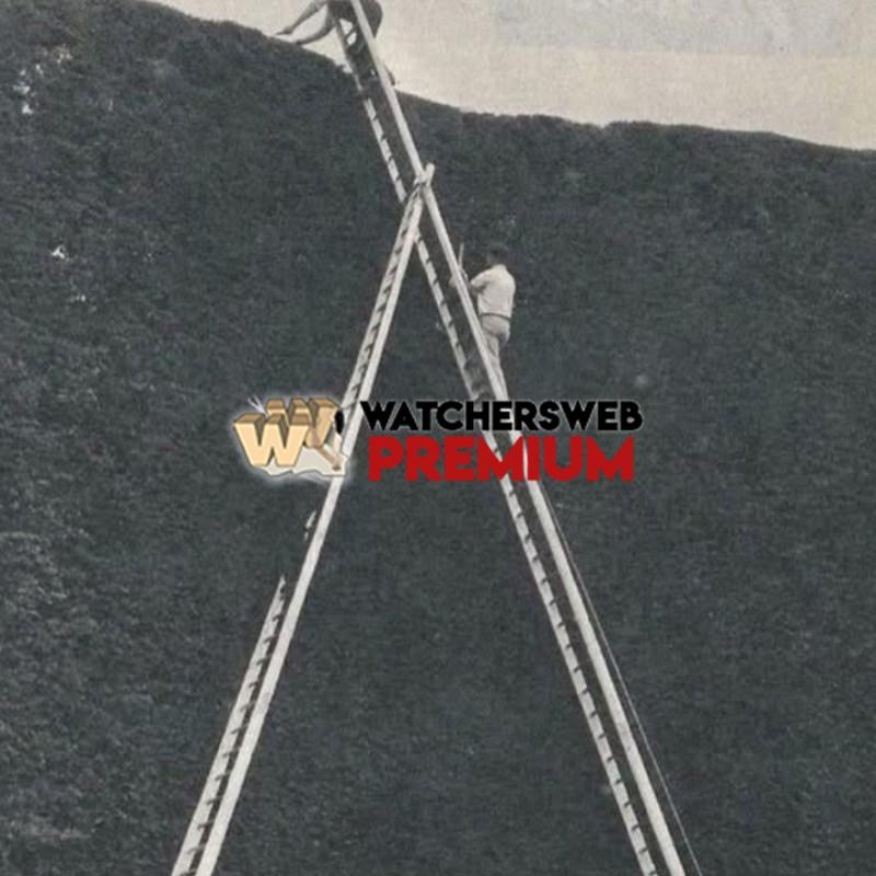 It's A No From Me - Ray - QLD, Australia