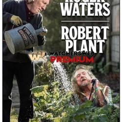 Let It Grow - Ray - QLD, Australia