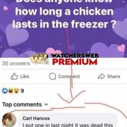 Poor Chook - Ray - QLD, Australia