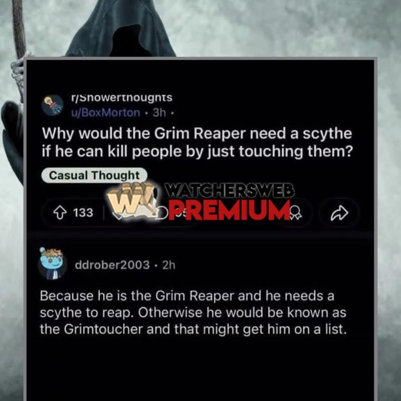 Logical - Ray - QLD, Australia