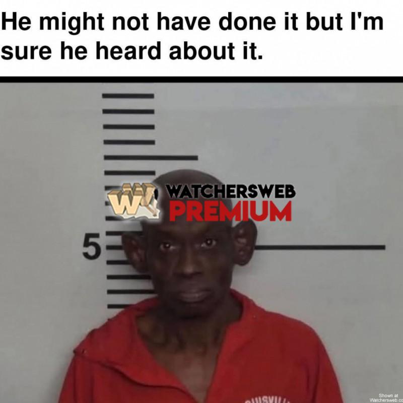 Big Ears - Ray - QLD, Australia