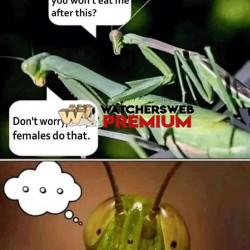 Awkward - Ray - QLD, Australia