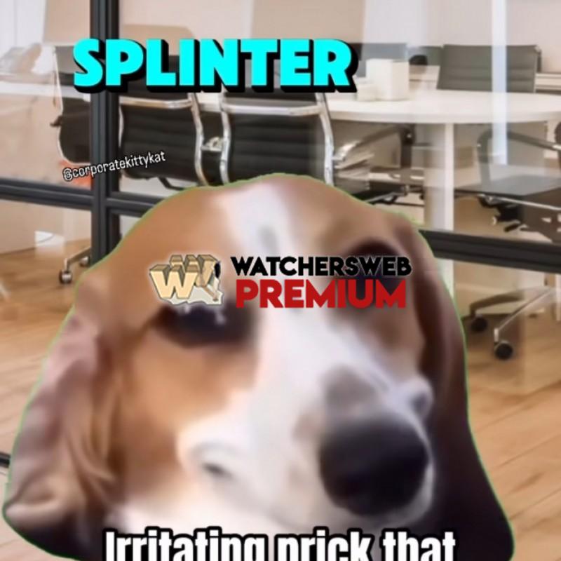 We All Got One - Ray - QLD, Australia