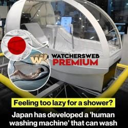 Genius - Ray - QLD, Australia