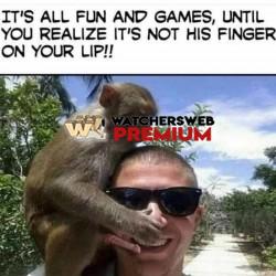 Yuk - Ray - QLD, Australia