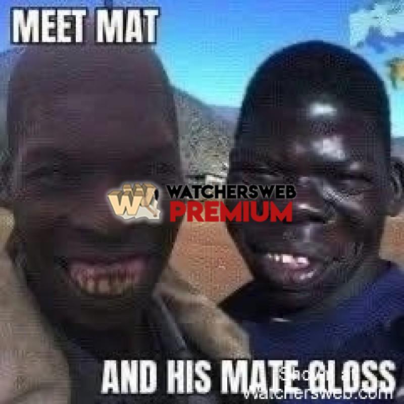 Couple Of Mates - Ray - QLD, Australia