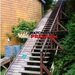 A Fun Ride - Ray - QLD, Australia